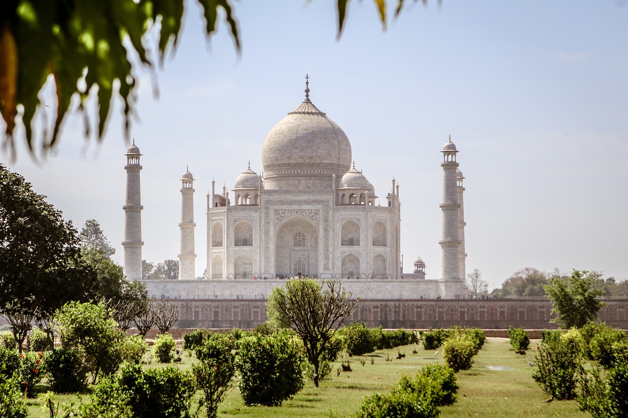 Easy Best Betting Odds India: Pro Tips to Win in India (2026)